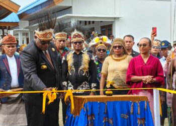 Gubernur Nawipa