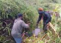 IMG 20260506 WA0106