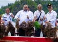 Rumput laut