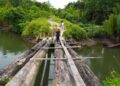 Jalur jembatan