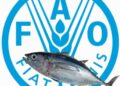 Tuna