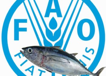 Tuna