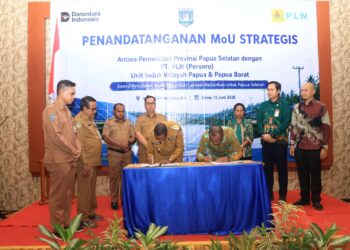 Pemprov dan PLN