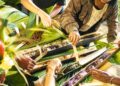 Papuan Food Festival