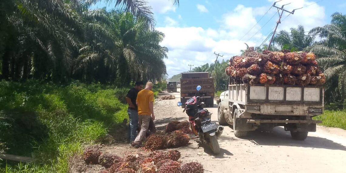 Sorong Residents