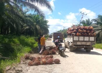 Sorong Residents