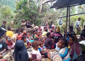 Pengungsi internal di Tanah Papua