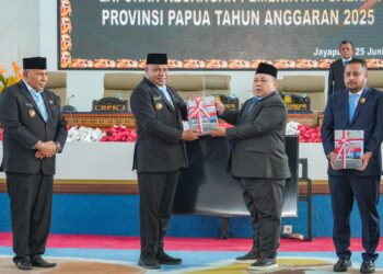 Pemprov Papua