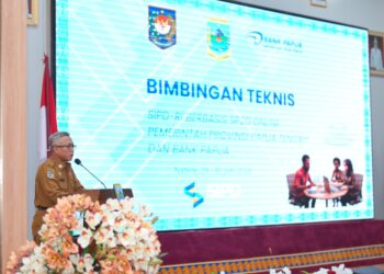 Papua Tengah
