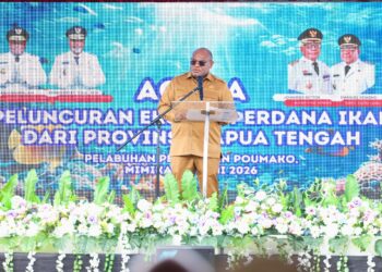 Papua Tengah