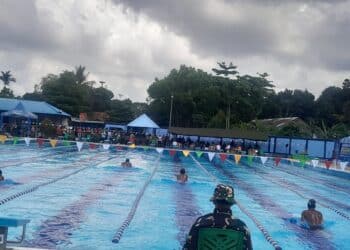 376 atlet ikut juraan renang Pangdam Cenderawasih 31 Kejuaraan Renang Pangdam XVII/Cenderawasih
