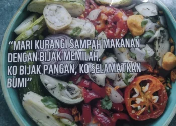 DLH Jayapura dan WWF