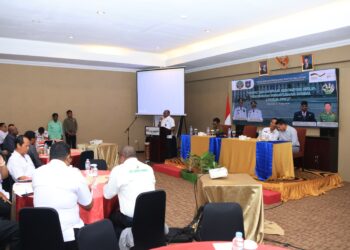 Pemprov Papua Selatan Bentuk Pokja