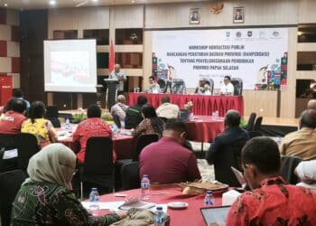 Raperdasi pendidikan Pemprov Papua Selatan
