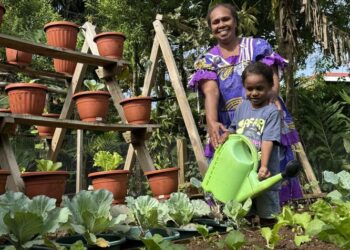 Berkebun di belakang rumah
