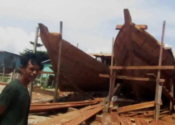 Rusaknya hutan rawa bush, sagu dan hijrahnya ikan kakap rawa 15 ikan kakap rawa