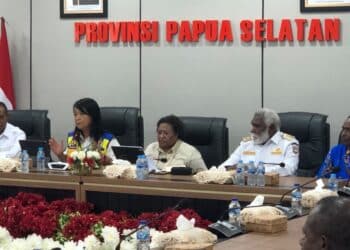 pemerintahan Provinsi Papua Selatan