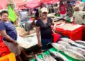 Ikan Tuna