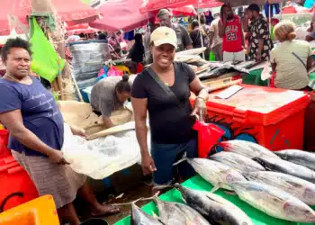 Ikan Tuna