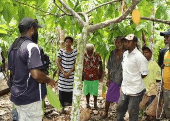 Petani Kakao
