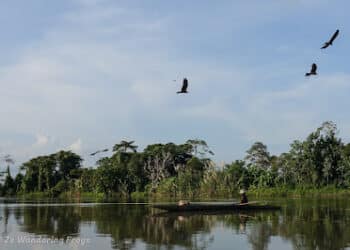 Sungai Sepik