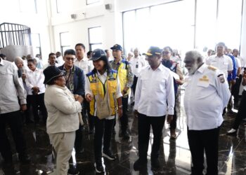Pemprov Papua Selatan