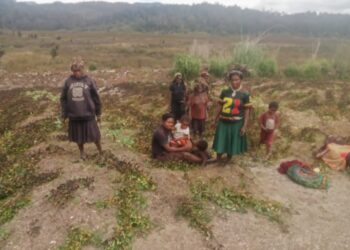 Pemkab Puncak