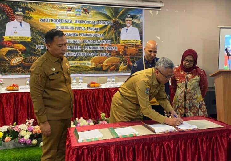 Pemprov Papua Tengah dan SCOPI perkuat petani kopi melalui budidaya berkelanjutan 1 Petani kopi Papua Tengah