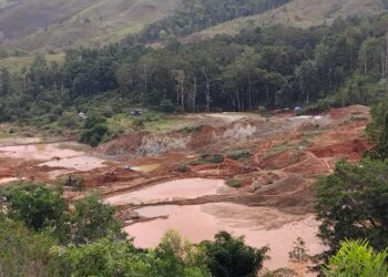 Tambang emas ilegal mengancam Danau Sentani 11 Tambang emas ilegal