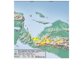 Titik api di Provinsi Papua Tengah bertambah 9 Titik api di Papua Tengah