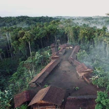 Pesta Babi Suku Muyu dan ritual beruang Suku Ainu