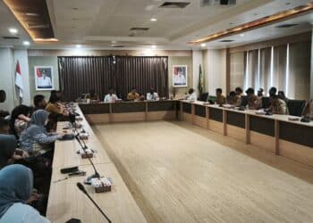 Pemerintah pusat evaluasi penyelenggaraan pemerintahan di Papua Selatan 9 Papua Selatan