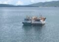 13 kapal nelayan ditangkap otoritas PNG periode Januari–Agustus 2026 9 Kapal nelayan Merauke ditangkap di PNG