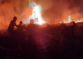 Polisi selidiki penyebab karhutla di Merauke 4 Karhutla di Merauke