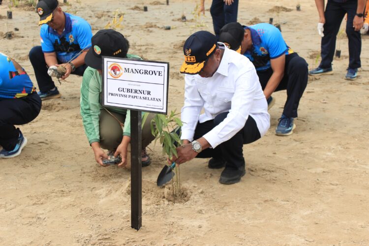 Gubernur Papua Selatan