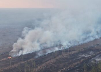 Terjadi 23 kebakaran di sekitar area perkebunan sawit di Nabire 2 Kebakaran
