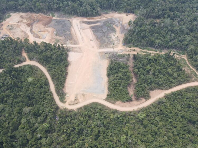 Dua perusahan perkebunan kelapa sawit di Papua Barat diduga timbun limbah 1 kelapa sawit