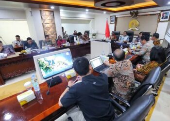 Pansus Papua DPD RI