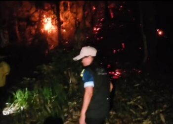 Karhutla terjadi di kawasan cagar alam Pegunungan Wondiboy Wondama 7 Karhutla