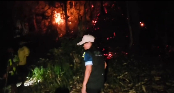 Karhutla terjadi di kawasan cagar alam Pegunungan Wondiboy Wondama 1 Karhutla