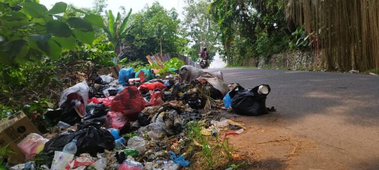 Membuang sampah sembarangan