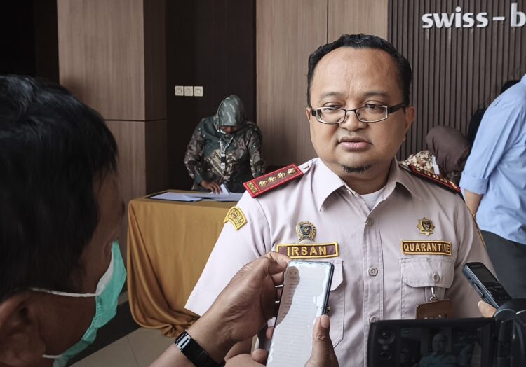 Demam babi Afrika