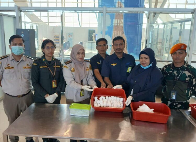 Penyelundupan telur burung