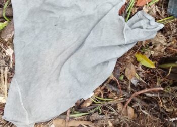 Hilangnya dua warga Yahukimo