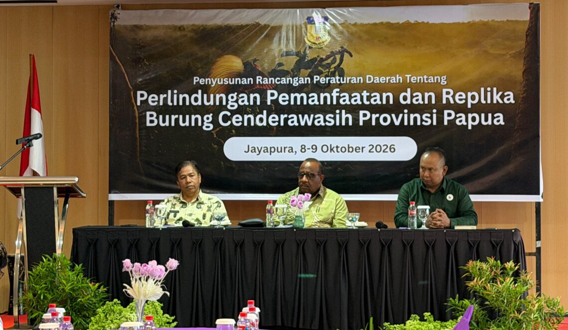 Pemprov Papua rumuskan aturan penggunaan replika Cenderawasih 1 Regulasi perlindungan Cenderawasih