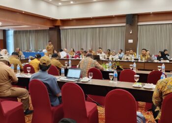 Penyusunan RDTR Depapre dan Genyem
