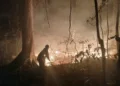 Kebakaran hutan di Pulau PNG