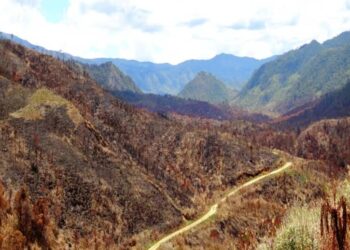 Masyarakat PNG berjuang menghadapi kekeringan akibat El Nino 4 Masyarakat PNG menghadapi kekeringan