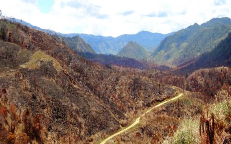 Masyarakat PNG berjuang menghadapi kekeringan akibat El Nino 1 Masyarakat PNG menghadapi kekeringan