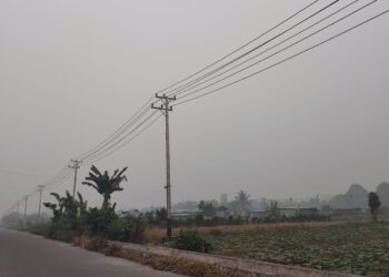 Kabut asap di Timika